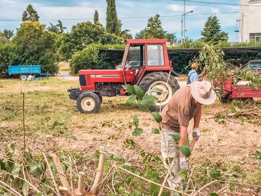 Praca w gospodarstwie rolnym a staż pracy: jakie dokumenty są potrzebne?