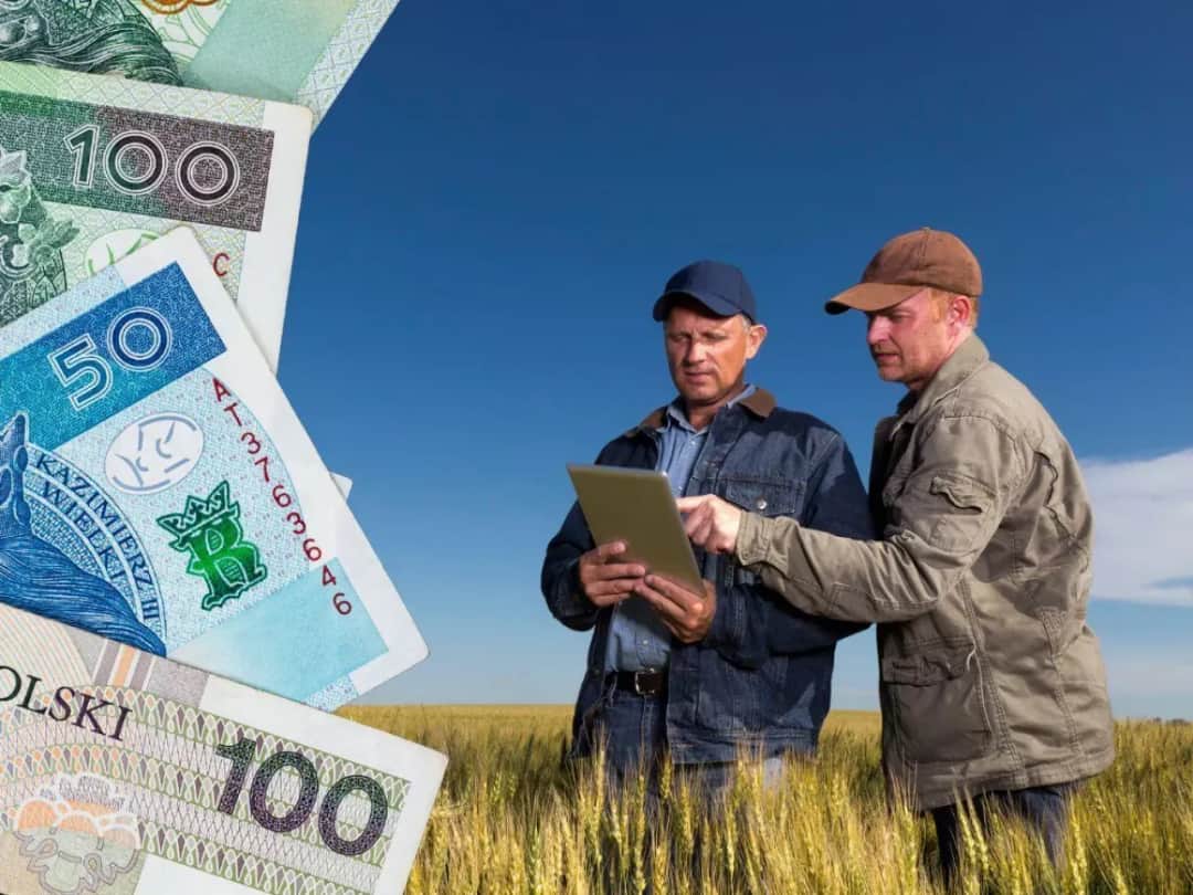 Czy rolnik może zatrudnić pracownika? Poznaj ważne obowiązki i umowy
