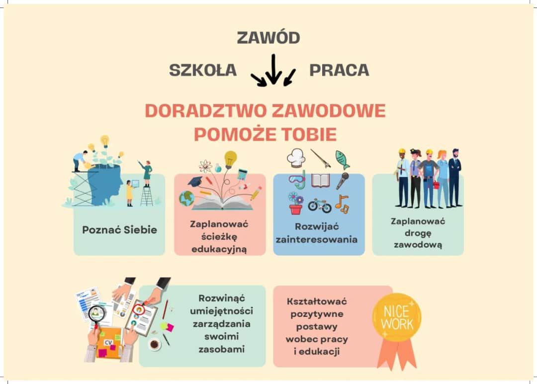 Kto może uczyć doradztwa zawodowego w szkole podstawowej? Sprawdź wymagania