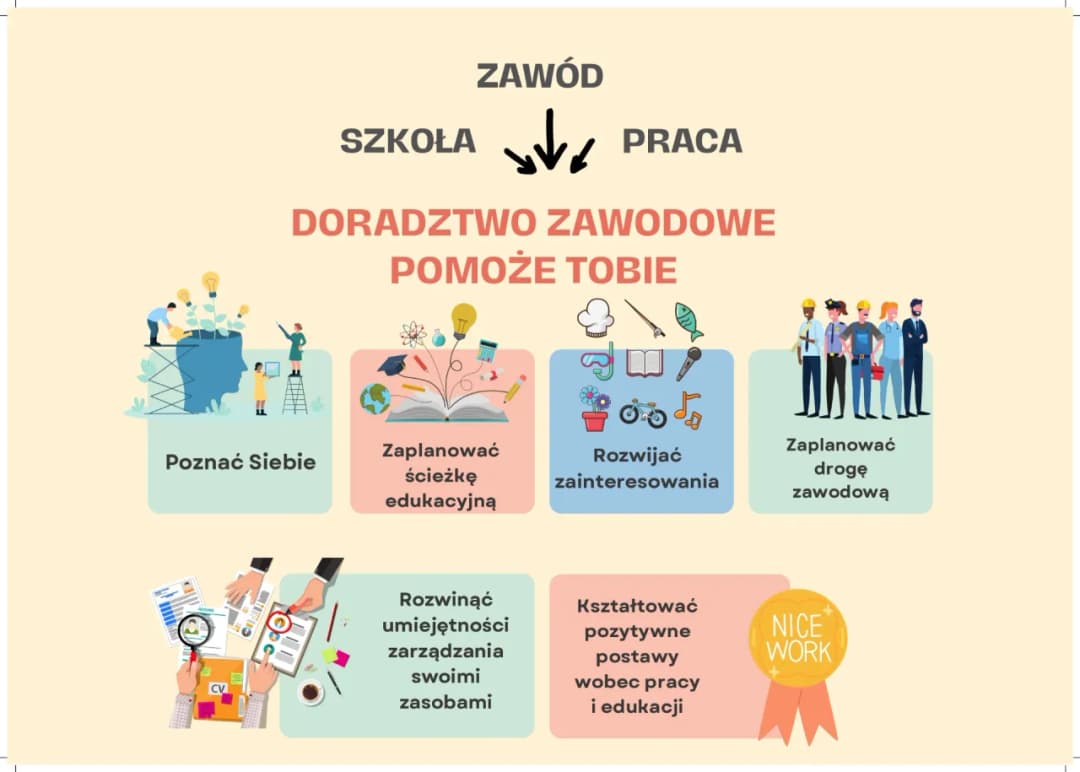 Kto może uczyć doradztwa zawodowego w szkole podstawowej? Sprawdź wymagania